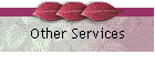Other Services