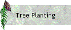Tree Planting